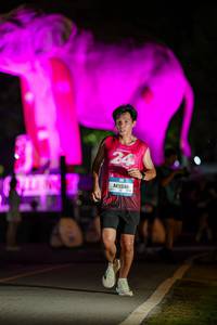 BIB: 
                            <button type="button" onclick="openModal(26533347)" class="btn btn-primary btn-sm float-right btn-popup" data-toggle="modal" data-target=".modal-high-quality">
                        <i class="fas fa-shopping-cart"></i> Add to Cart
                    </button>
                                            <button type="button" onclick="isThisMe(26533347, true)" class="btn btn-success btn-sm float-right btn-popup btn-isme hidden" data-toggle="tooltip" data-placement="bottom" title="นี่คือรูปของคุณใช่ไหม คลิกที่นี่เพื่อเอาเข้าอัลบั้ม">
                        <i class="fas fa-plus"></i> Add to album
                    </button>
                    <button type="button" onclick="isThisMe(26533347, false)" class="btn btn-warning btn-sm float-right btn-popup btn-isnotme hidden">
                        <i class="fas fa-ban"></i> Remove from album
                    </button>